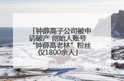 钟薛高子公司被申请破产 创始人账号“钟薛高老林”粉丝仅1800余人